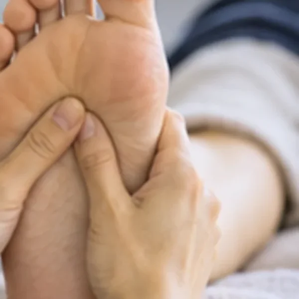포레스트 라엘아지트 테라피 안내 이미지